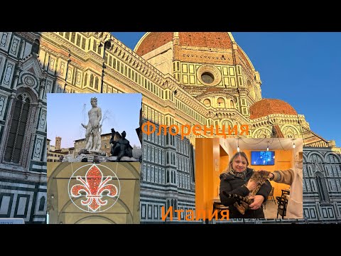 Видео: #Италия🇮🇹#жизнь семьи в Тоскане#рождественская Флоренция#бар кошачий🐈