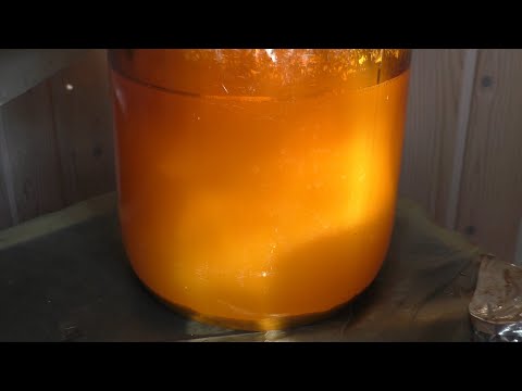 Видео: Как бродит термообработанное сусло. Шампанское дома часть 2