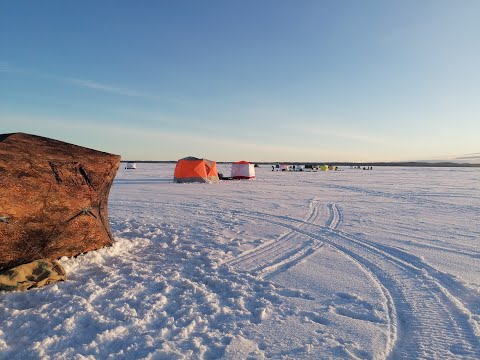 Видео: рыбалка на белом море 2022