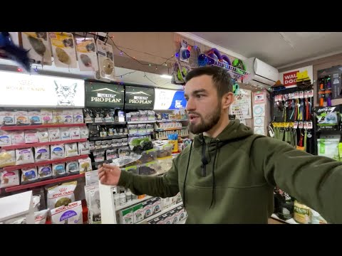 Видео: ЗООМАГАЗИН спустя 1 ГОД работы. Что поменялось?