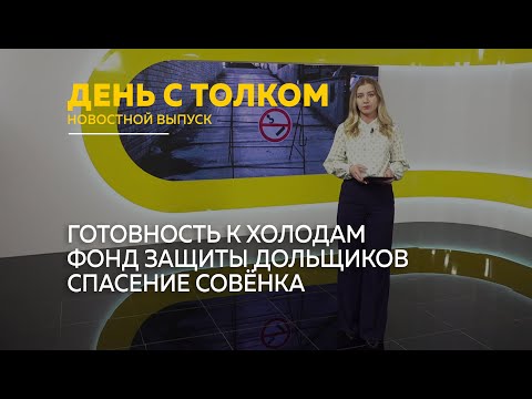 Видео: День с Толком 29.10.2025