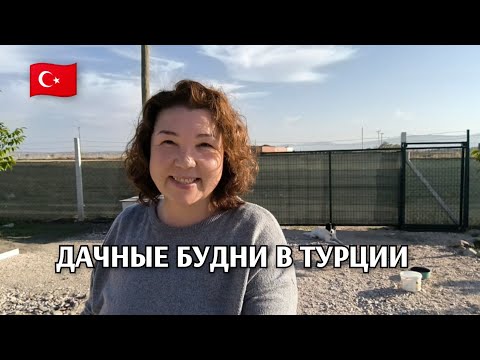 Видео: Дачные будни: кормить не буду/подвинула панель/ругается со мной/навела красоту