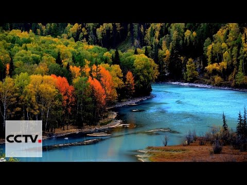 Видео: Документальные фильмы: Рай на свете - Канас Серия 4