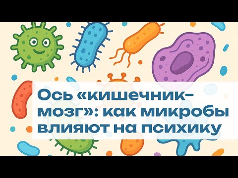 Видео: Ось «кишечник–мозг»: как микробы влияют на психику