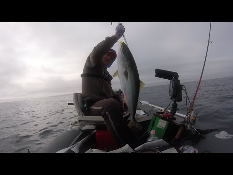 Видео: КАК Я НА ТРЕСКОВОЙ БАНКЕ ПОЙМАЛ ЛАКЕДРУ  🐟🔥ЛАКЕДРА И ТРЕСКА 07.08.24.🔥🔥