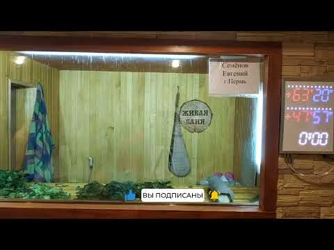 Видео: Семёнов Евгений г. Пермь. Курс Техники Пармастера. Зачёт//Академия Банного Дела