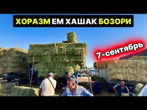 Видео: ХОРАЗМ ЕМ ХАШАК БОЗОРИ УРГАНЧ 7-сентября 2025 г.