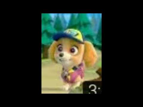 Видео: Гонщик и Скай