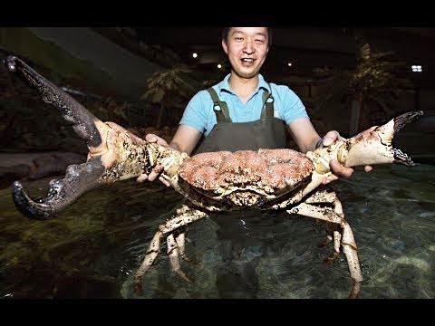 Видео: 10 Самых больших уловов