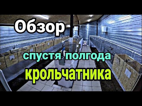 Видео: Обзор крольчатника спустя полгода. Новый крольчатник.