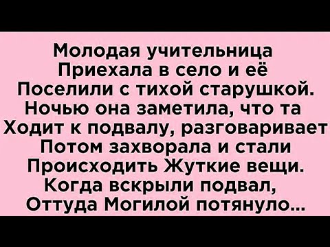 Видео: Материнская любовь…🥲