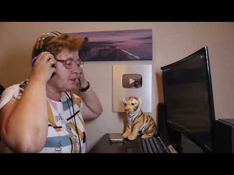 Видео: РЕАКЦИЯ МАМЫ НА [Kerry Force feat.M()eSTRo - Забавно; Забавно 2]