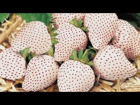 Видео: ✨️Дела насущные,и нужные!✨️Может кому-то, будет полезной информация!✨️