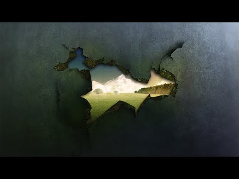 Видео: История одного просветления. Дзэн. Разбей стену вдребезги !