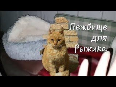 Видео: Пришлый Рыжик, накормлен. Веранда, навела порядок. 