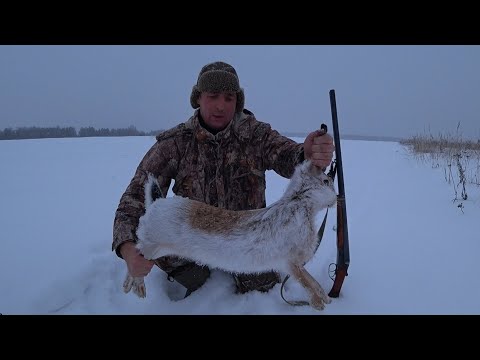 Видео: Охота на зайца. Крепкий на рану заяц.