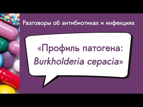 Видео: Вебинар «Профиль патогена: Burkholderia cepacia»