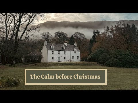 Видео: Мягкое начало Рождества | Делаем больше, покупаем меньше