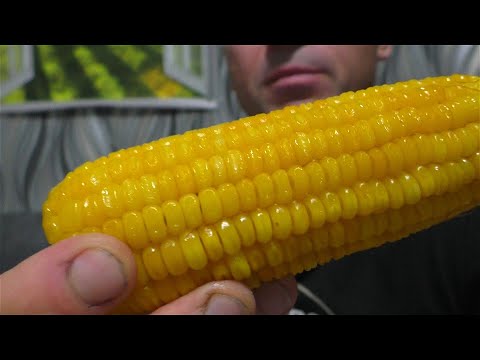 Видео: КУКУРУЗА ПРИГОТОВЛЕНААЯ ОСОБЫМ СПОСОБОМ! Приготовили вместе с женой.
