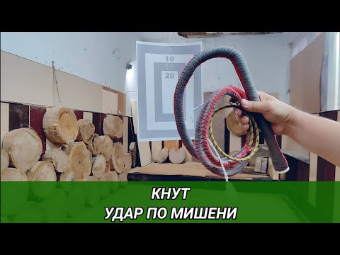 Видео: Удар кнутом по мишени.