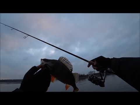 Видео: Окуни "садисты" или ловля на пассивные приманки Fishup Scaly Fat и Tanta.