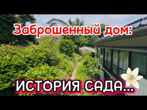 Видео: ИСТОРИЯ САДА У ЗАБРОШЕННОГО ДОМА 🌷