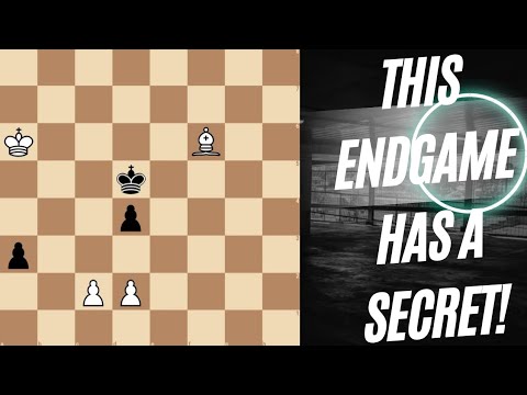 Видео: Все недооценили эндшпиль! #Шахматы #Эндшпиль #ChessPuzzle