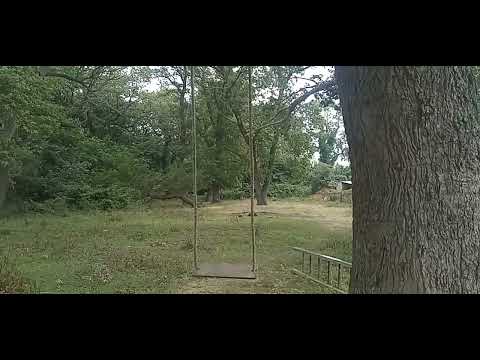 Видео: Для людей.