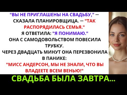 Видео: Свадебный организатор моей сестры вычеркнула меня по приказу семьи — пока не узнала, что ...