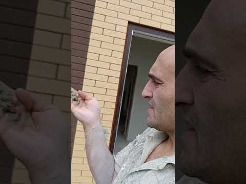 Видео: Как почистить затвердевший цемент