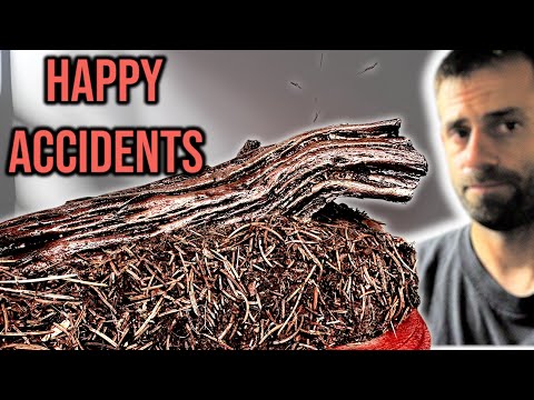 Видео: Моя самая большая неудача с бронзой