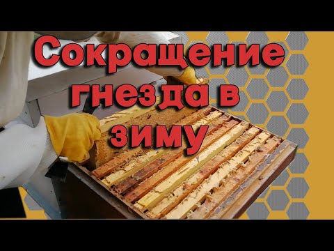 Видео: Сокращение пчелиного гнезда в зиму. Работы на пасеке осенью.