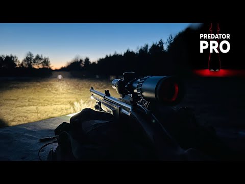 Видео: Комбинированное ружье Мр 94 308 win и 12/76. Обзор и отстрел.