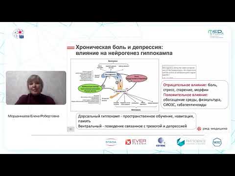 Видео: Хроническая боль и когнитивные функции: современный взгляд на проблему. к.м.н. Мордвинцева Е.Р.