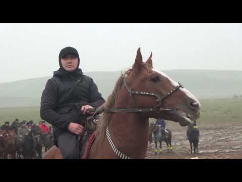 Видео: 29 11 2022 Қазығұрт Шанақ елдімекені Бакыт мырза кокпар