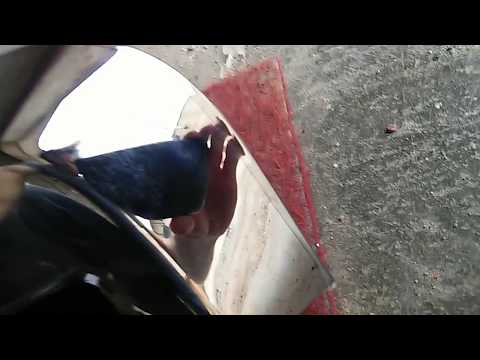 Видео: Duster - Профилактика коррозии двери багажника