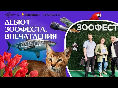 Видео: ДЕБЮТ ЗООФЕСТА. ВПЕЧАТЛЕНИЯ 🦈