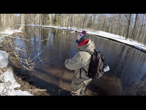 Видео: Как откроешь сезон, так его и проведешь