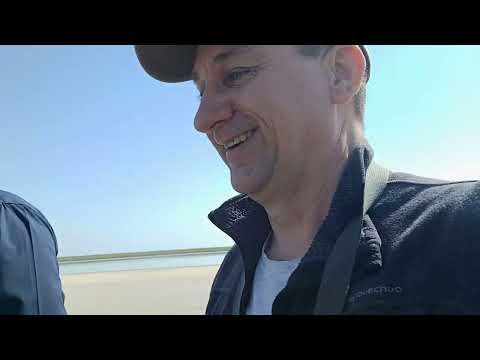 Видео: 2024.04.7-8 Дорога в Калмыкию / оз.Маныч / Цветочки