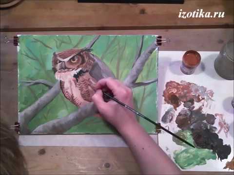 Видео: Сова на ветке. Гуашь