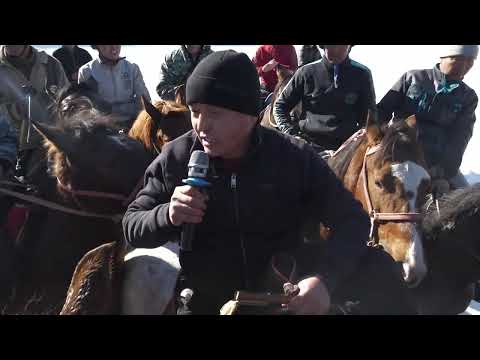 Видео: Аламан улак. Алай, Жошолу 26.01.2025