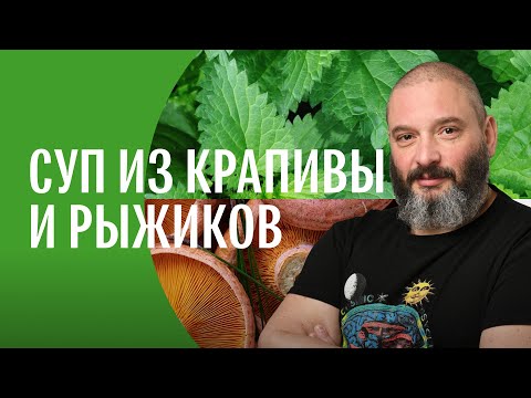 Видео: Суп из крапивы и сушеных рыжиков. Михаил Вишневский. Готовим из дикоросов.