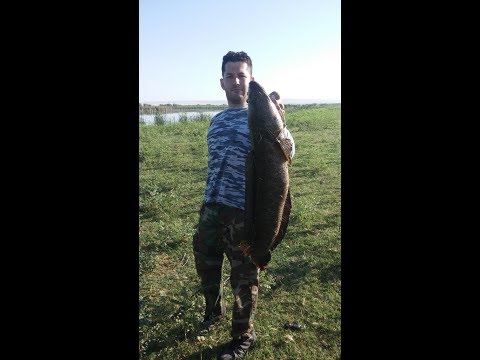 Видео: Змееголов трофей 6850, который не попал на камеру