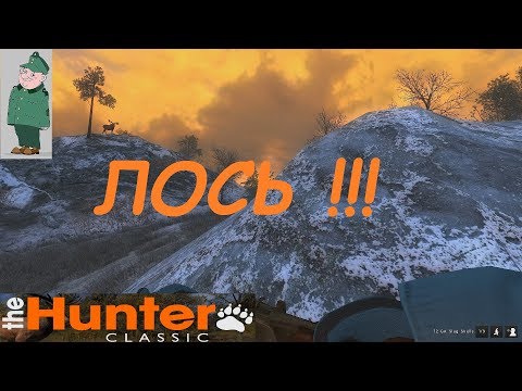 Видео: the Hunter Classic. Охота на лося.