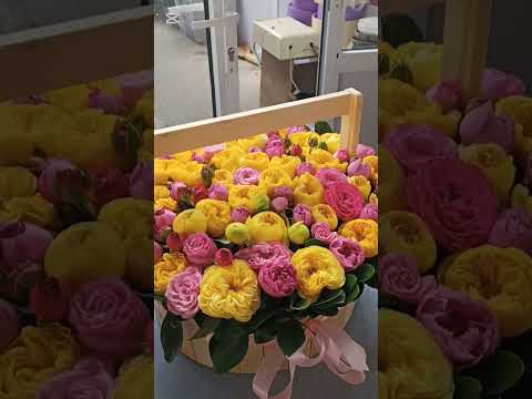 Видео: Юнусобод гул бозори...🍁🌹🌷🌼🌸🌺#newvideo #ташкент #flowers #life #nature #like #plants #цветочныйбизнес