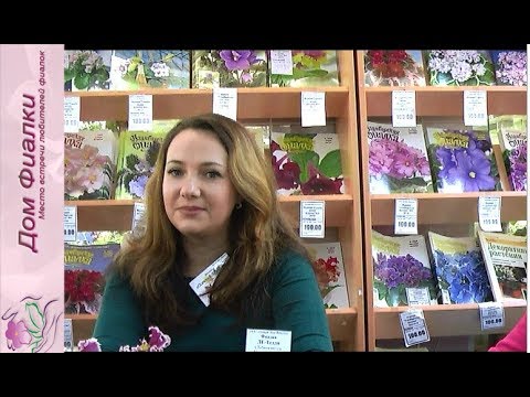 Видео: ДФ.Фиалки на подоконнике зимой и др.вопросы (консультирует Е.Галицкая)