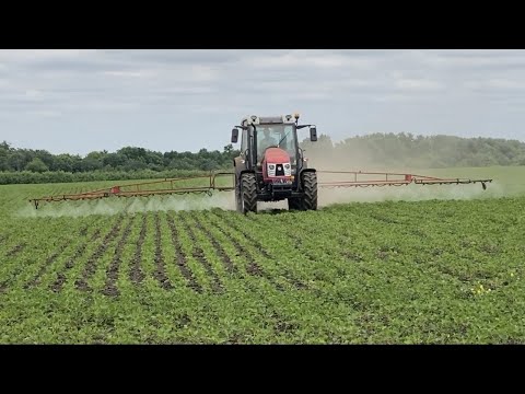 Видео: Соя чиста як кокс!!! Коли бризкаємо один раз, а коли двічі.