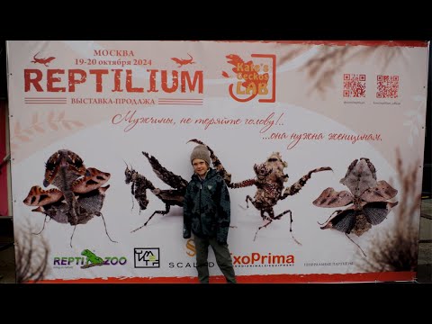 Видео: РЕПТИЛИУМ 19.10.2024