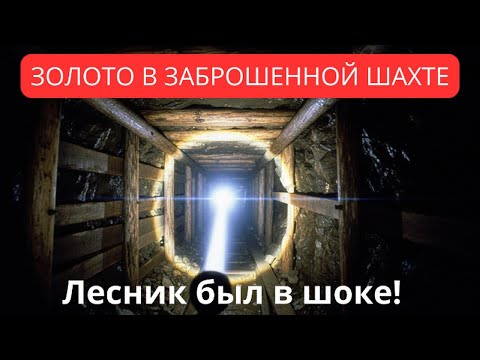 Видео: ЛУСНИК НАШЁЛ ЗОЛОТО В  ШАХТЕ… Это Была ОШИБКА | Таёжные истории