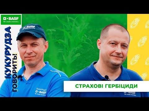 Видео: Страхові гербіциди на кукурудзі: вибір, застосування та досвід